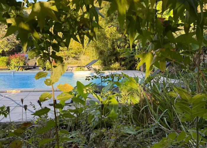 Avec Piscine & - La Sacristie * Graulhet